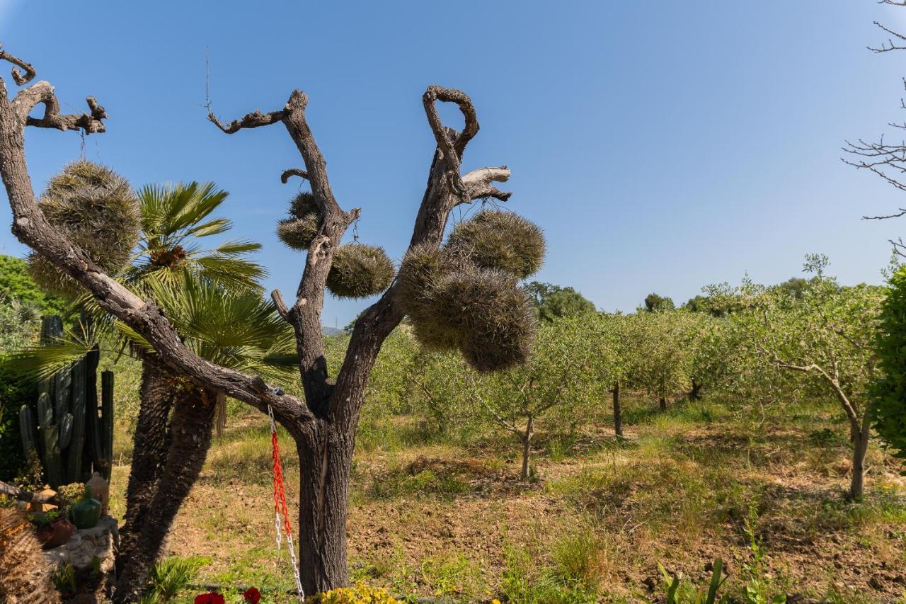 Finca Sa Sini Búger Buitenkant foto